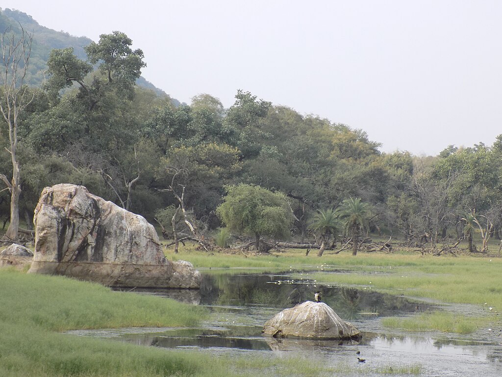 Techmate13, CC BY-SA 4.0 <https://creativecommons.org/licenses/by-sa/4.0>, via Wikimedia Commons-Ranthambore National Park Safari
