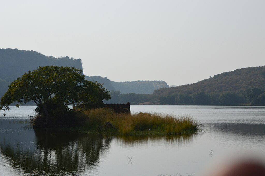 Subhayan Bhattacharyya, CC BY-SA 4.0 <https://creativecommons.org/licenses/by-sa/4.0>, via Wikimedia Commons