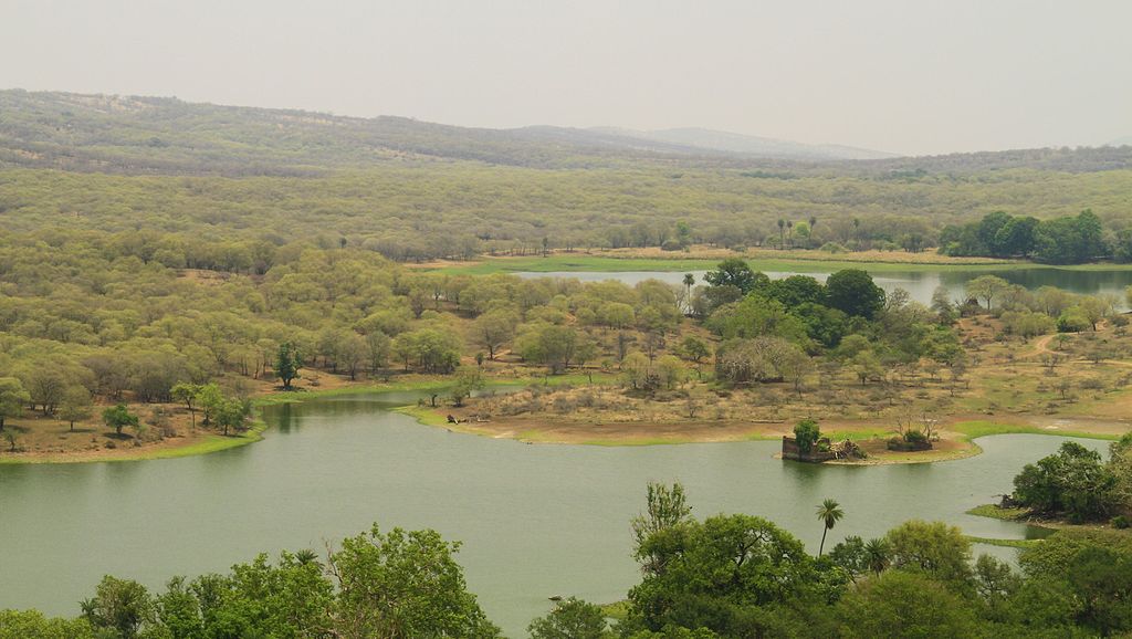 Shaz.syed13, CC BY-SA 4.0 <https://creativecommons.org/licenses/by-sa/4.0>, via Wikimedia Commons