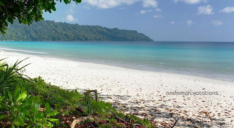 Radhanagar Beach