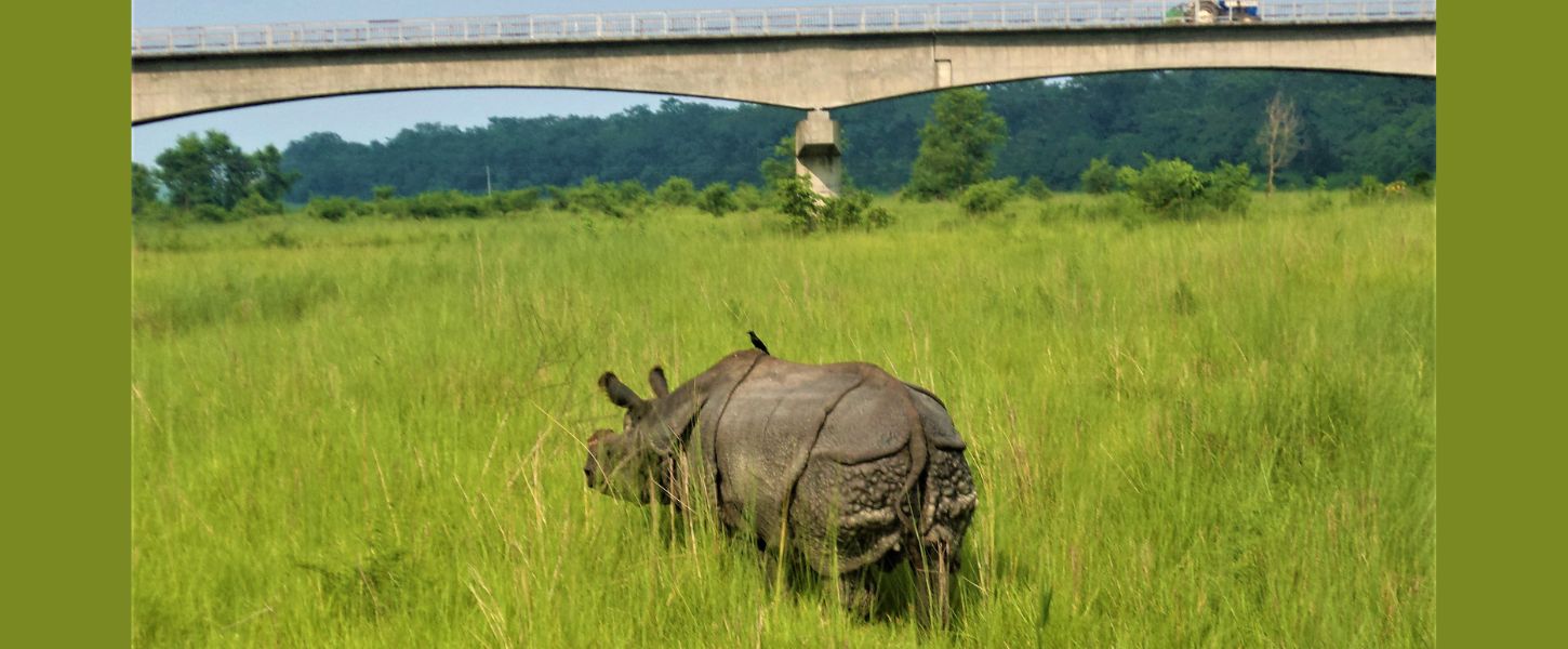 Attractive Nepal