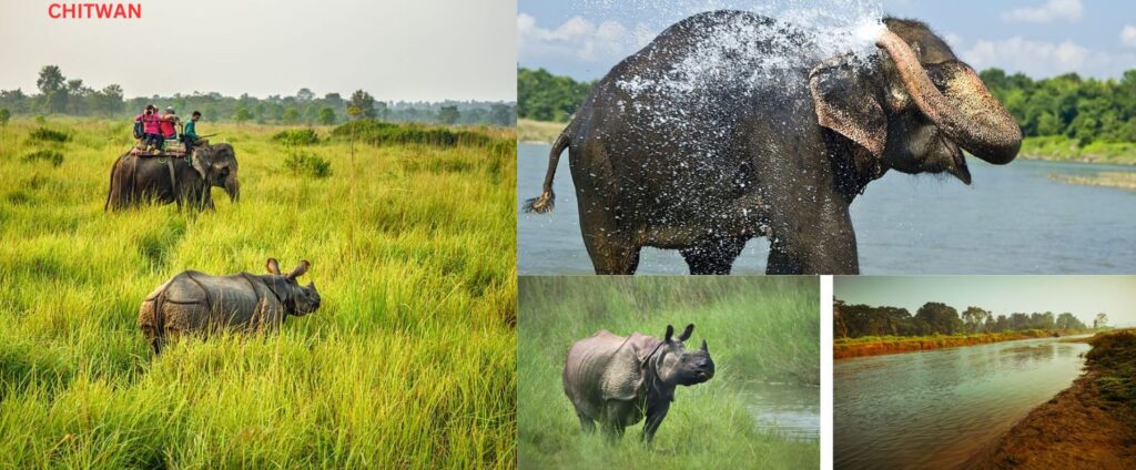 travel-tips- during-Kathmandu-and- Chitwan-tour