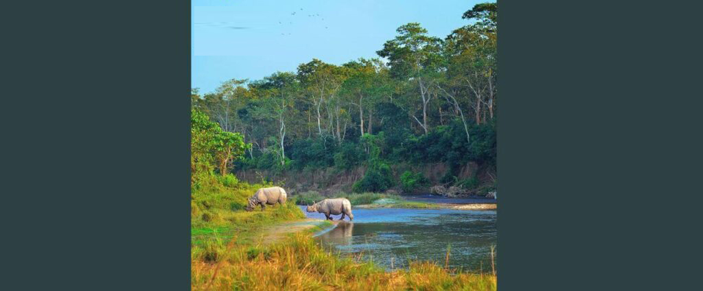 Chitwan Tour