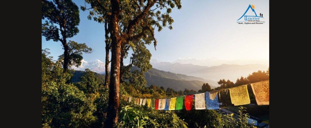 Views during Mardi Himal Trek
