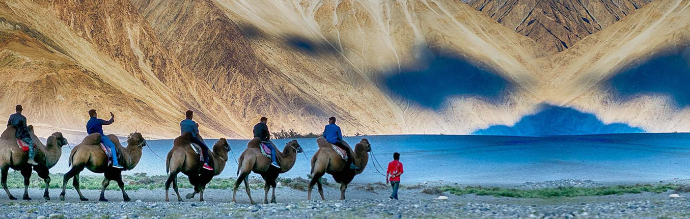 Wildlife Tour Packages