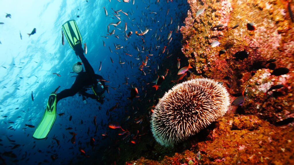 3 Nights & 4 Days Andaman & Nicobar Adventure Tour Package