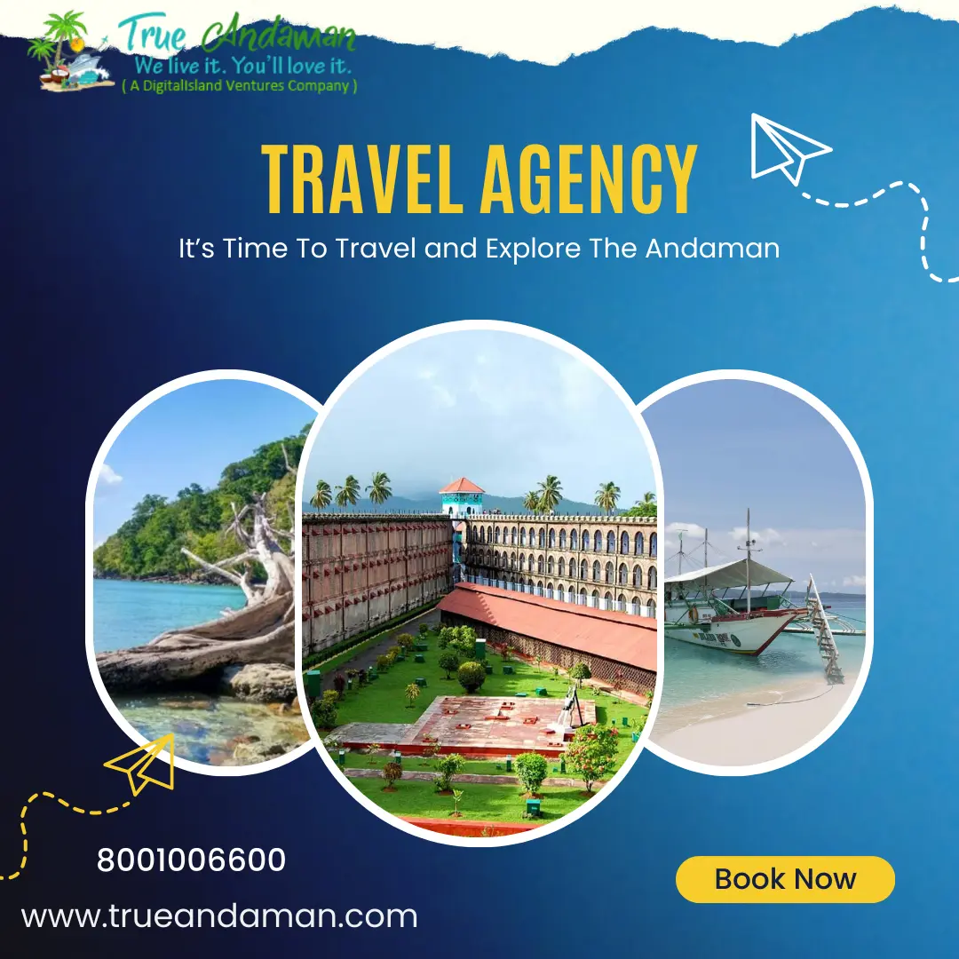 Director of True Andaman Pvt Ltd